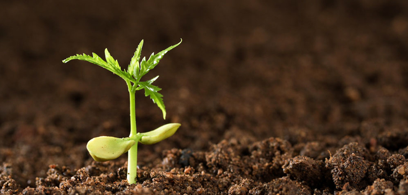 G8全自動石墨消解儀對土壤中汞、砷測定的消解案例