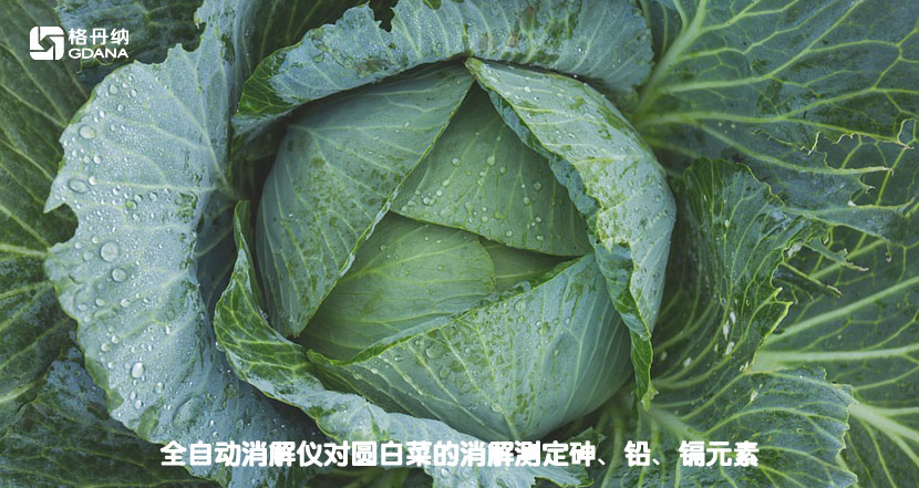 全自動消解儀對圓白菜的消解測定砷、鉛、鎘元素